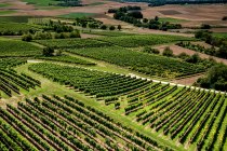 Klein-Winternheimer Geiershölle Klein-Winternheimer Geiershölle