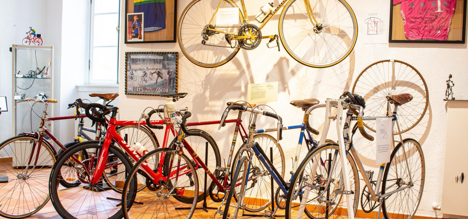 Rheinhessisches Fahrradmuseum - Sporträder Rheinhessisches Fahrradmuseum - Sporträder