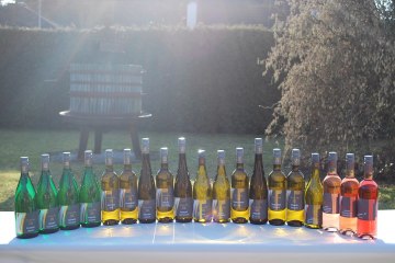 Weingut Siebenhof_Weinflaschen, © Weingut Siebenhof Weingut Siebenhof_Weinflaschen, © Weingut Siebenhof