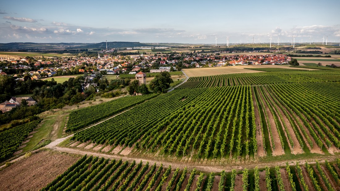 Wöllsteiner Ölberg Wöllsteiner Ölberg