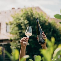 JUK_druck_24_07_kulinarik_wein_franz_wuestenberg_1 JUK_druck_24_07_kulinarik_wein_franz_wuestenberg_1