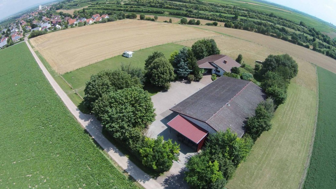 wijnmakerij borntaler hof buitenaanzicht, © Weingut Borntaler Hof wijnmakerij borntaler hof buitenaanzicht, © Weingut Borntaler Hof