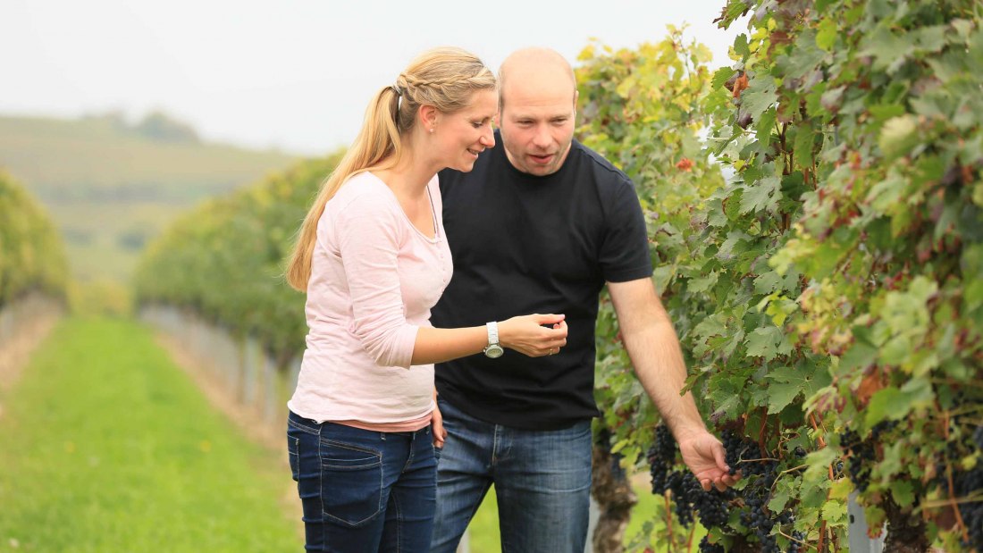 Weingut Klieber_Winzer, © Weingut Klieber Weingut Klieber_Winzer, © Weingut Klieber