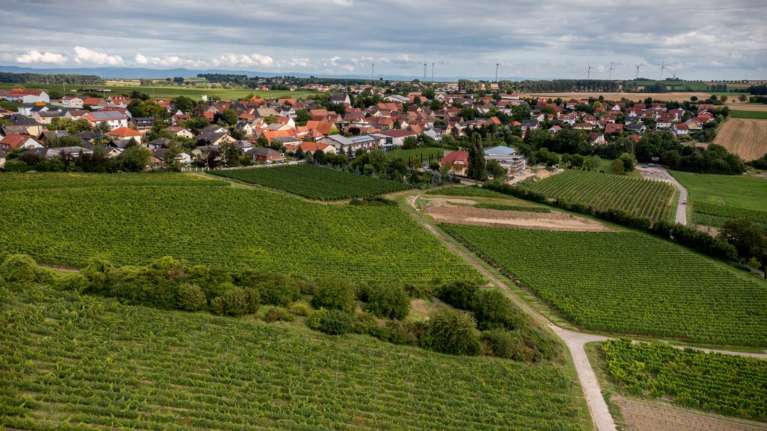 Weinolsheimer Kehr Weinolsheimer Kehr