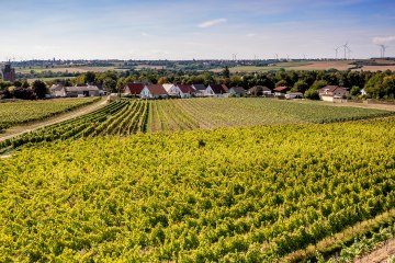 Eppelsheimer Felsen Eppelsheimer Felsen