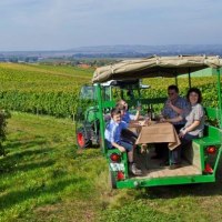 Planwagentour durch die Weinberge Planwagentour durch die Weinberge