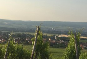 © FamilienWeinGut Feser © FamilienWeinGut Feser