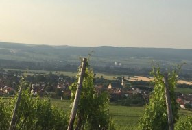 FamilienWeinGut Feser_Weinber © FamilienWeinGut Feser FamilienWeinGut Feser_Weinber © FamilienWeinGut Feser