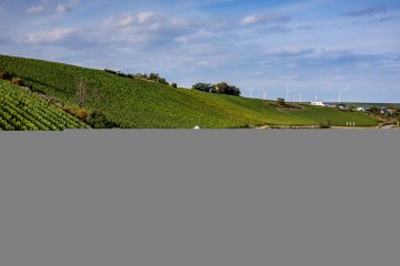 Uffhofener La Roche Uffhofener La Roche