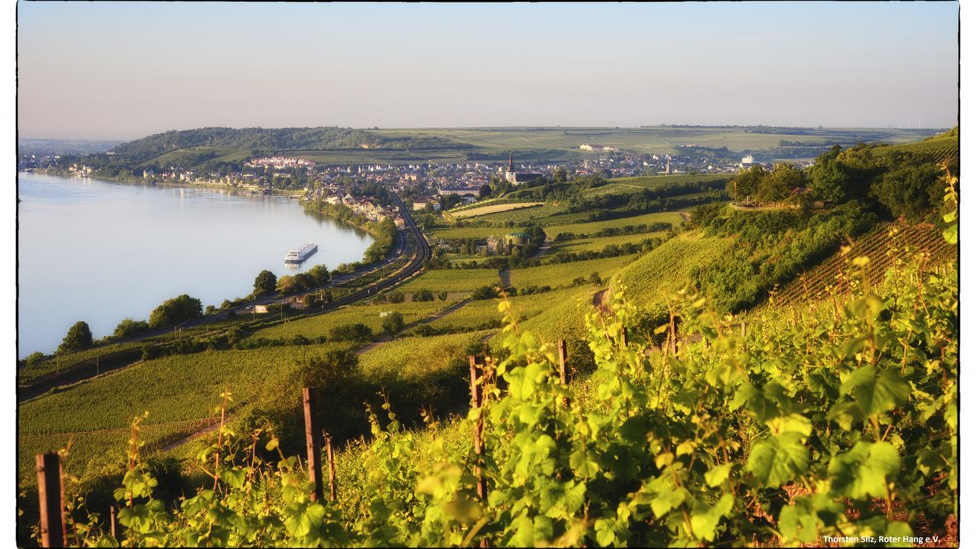 Weingut Wedekind_Panorama Hipping, © Weingut Wedekind Weingut Wedekind_Panorama Hipping, © Weingut Wedekind