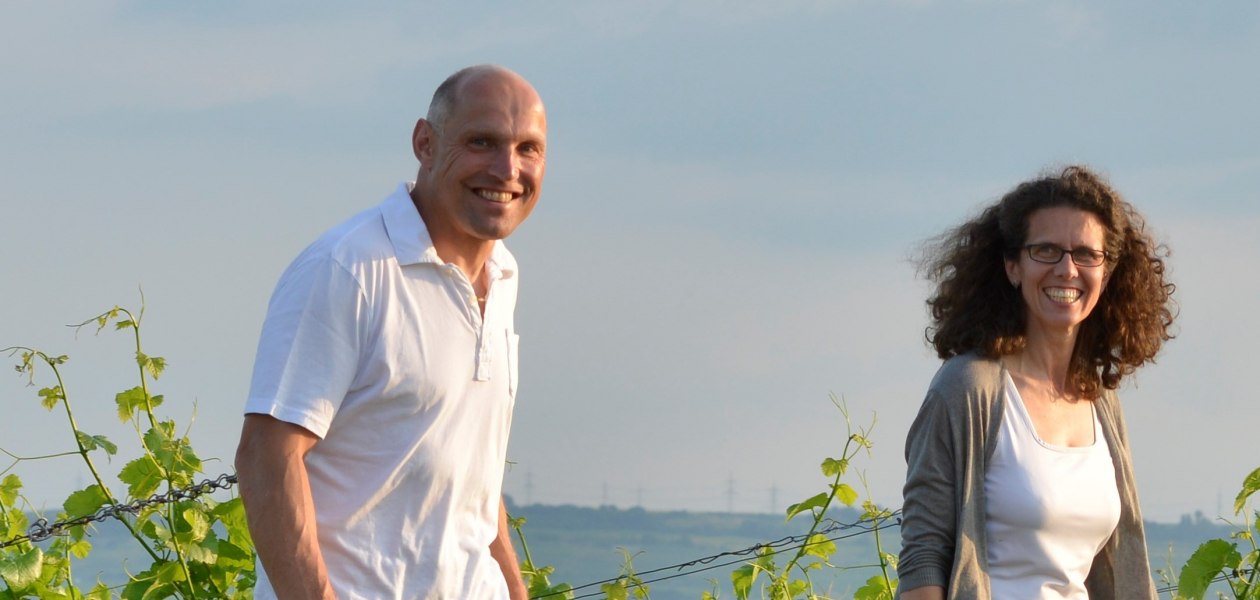 Weingut Dätwyl_Weinberg, © Weingut Dätwyl Weingut Dätwyl_Weinberg, © Weingut Dätwyl