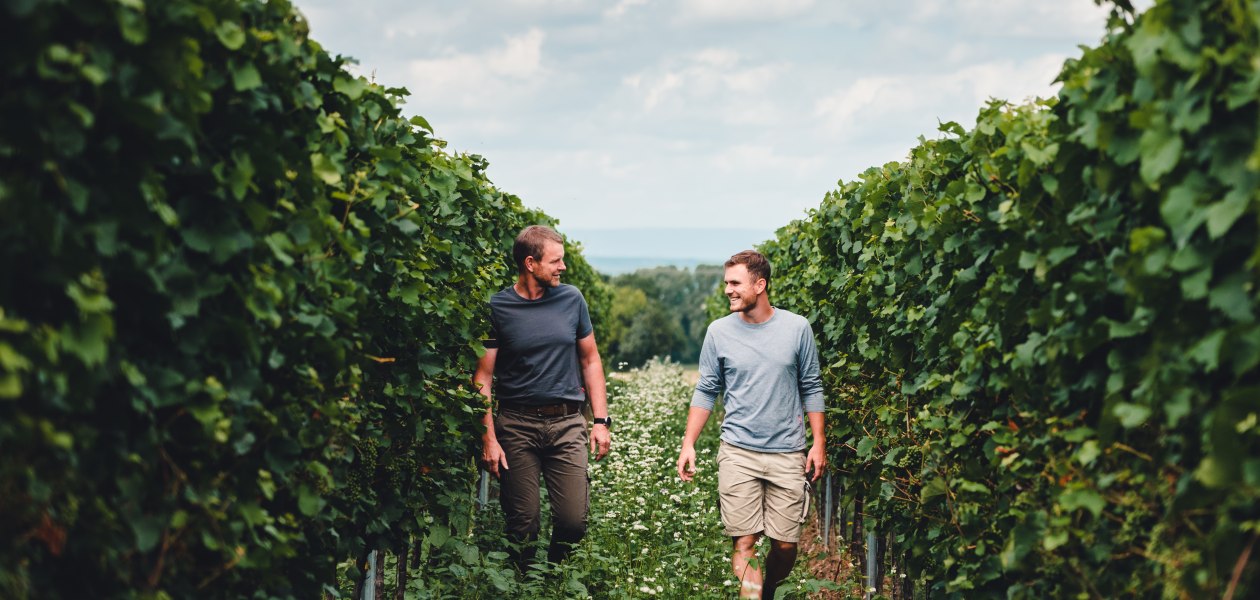 Weingut Kissinger_Weinberg, © Clemens Hess Weingut Kissinger_Weinberg, © Clemens Hess