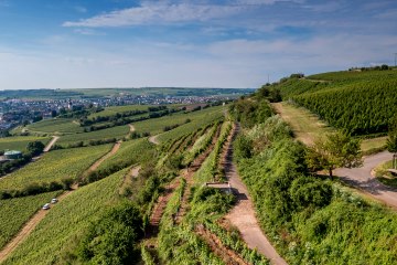 Niersteiner Hipping Niersteiner Hipping