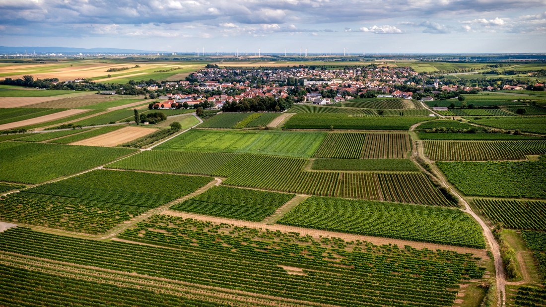 Westhofener Steingrube Westhofener Steingrube