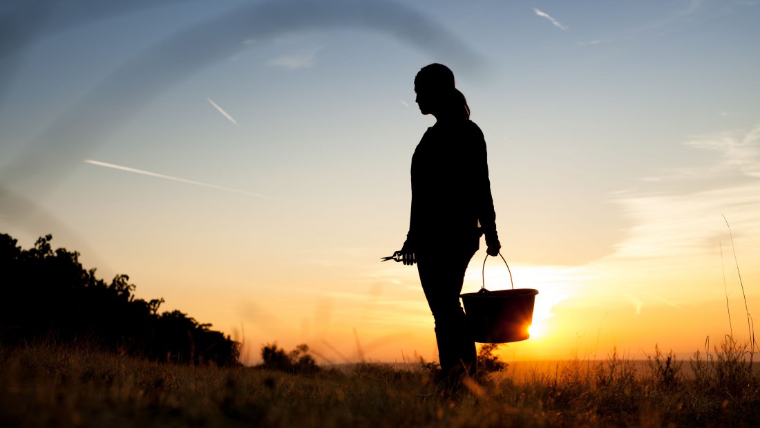 Weingut Schittler & Becker_Sonnenuntergang, © Weingut Schittler & Becker Weingut Schittler & Becker_Sonnenuntergang, © Weingut Schittler & Becker