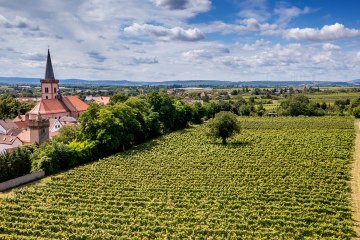 Pfeddersheimer Sankt Georgenberg Pfeddersheimer Sankt Georgenberg