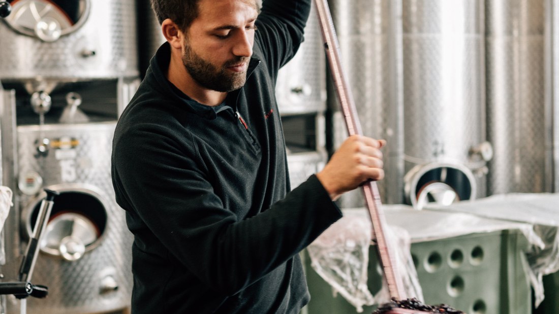 © Ökoweingut Arndt F. Werner © Ökoweingut Arndt F. Werner