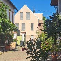 20250624_084910 20250624_084910