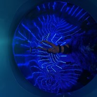 Riesenrutsche mit Licht- und Toneffekt Riesenrutsche mit Licht- und Toneffekt
