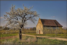 Sint-Joriskapel Sint-Joriskapel