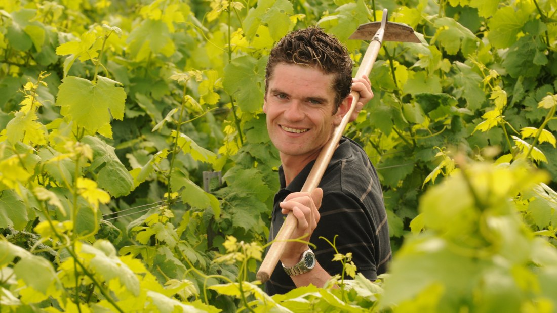 Michel__Gundheim, © Weingut Norbert Michel Michel__Gundheim, © Weingut Norbert Michel