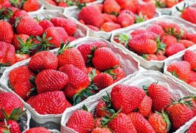 Erdbeeren Pflücke © pixabay Erdbeeren Pflücke © pixabay