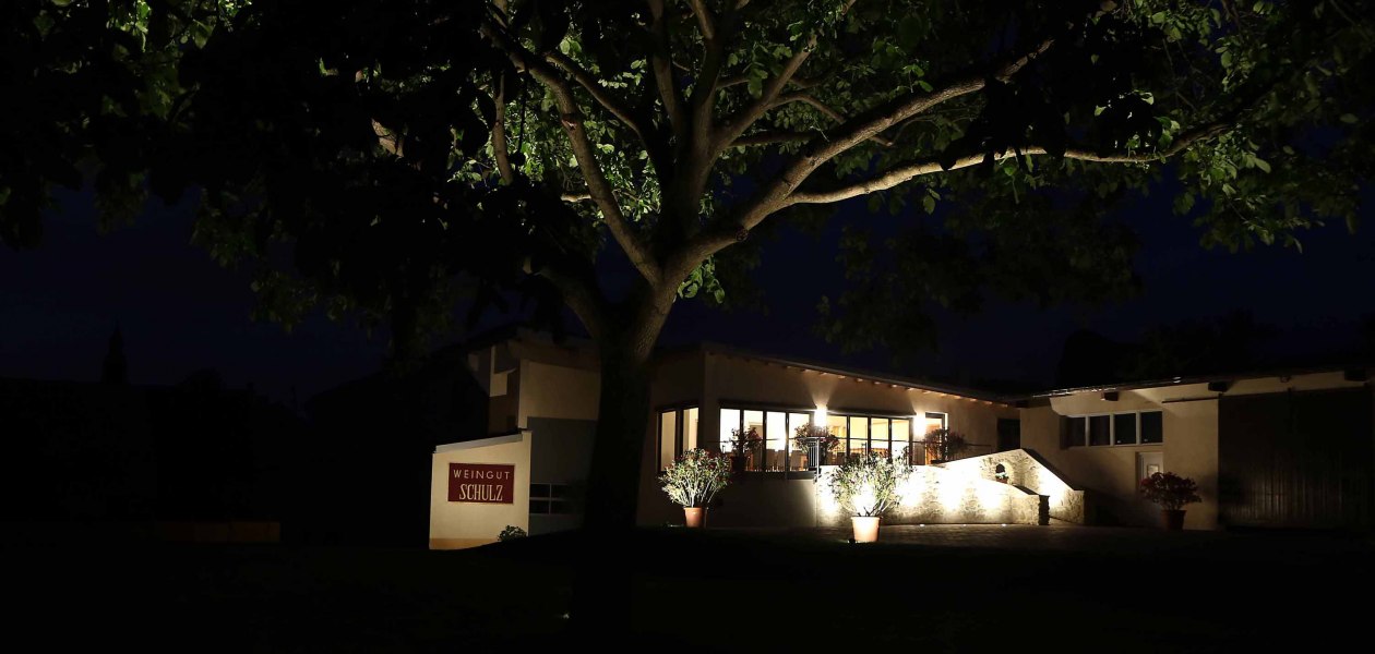 Weingut Schulz_im dunkeln, © Weingut Schulz Weingut Schulz_im dunkeln, © Weingut Schulz