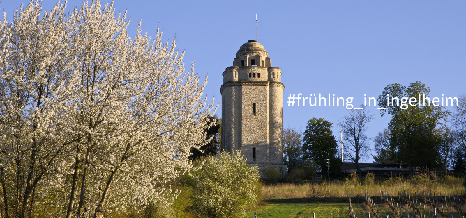 Frühling in Ingelheim, © Rainer Oppenheimer/Stadt Ingelheim Frühling in Ingelheim, © Rainer Oppenheimer/Stadt Ingelheim