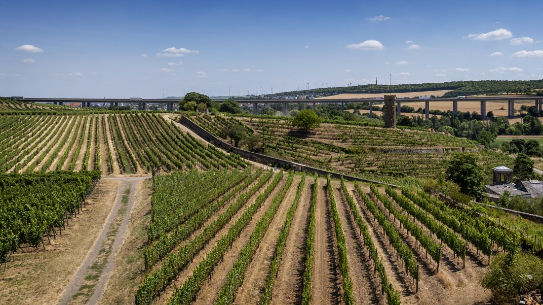 Weinheimer Heiliger Blutberg-138 Kopie Weinheimer Heiliger Blutberg-138 Kopie