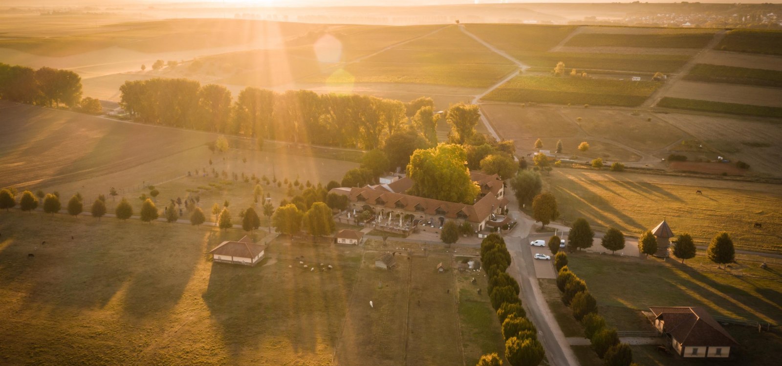 Bonnheimer Hof_Gastro Bonnheimer Hof_Gastro