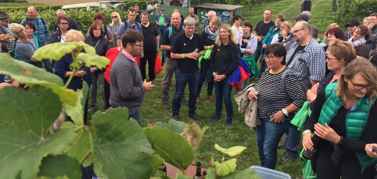 Weingut Fischborn Bergeshof_Weinprobe, © Weingut Fischborn Bergeshof Weingut Fischborn Bergeshof_Weinprobe, © Weingut Fischborn Bergeshof