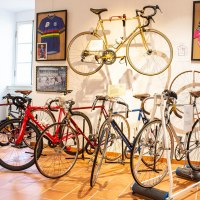 Rheinhessisches Fahrradmuseum - Sporträder Rheinhessisches Fahrradmuseum - Sporträder