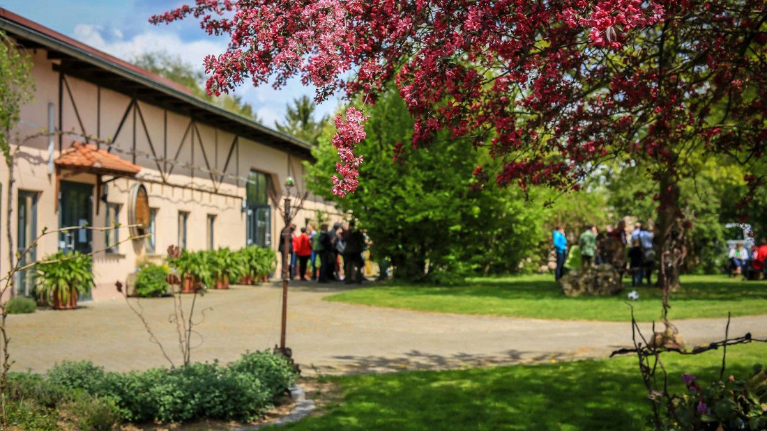 Weingut Dieter Michel_Garten, © Weingut Dieter Michel Weingut Dieter Michel_Garten, © Weingut Dieter Michel
