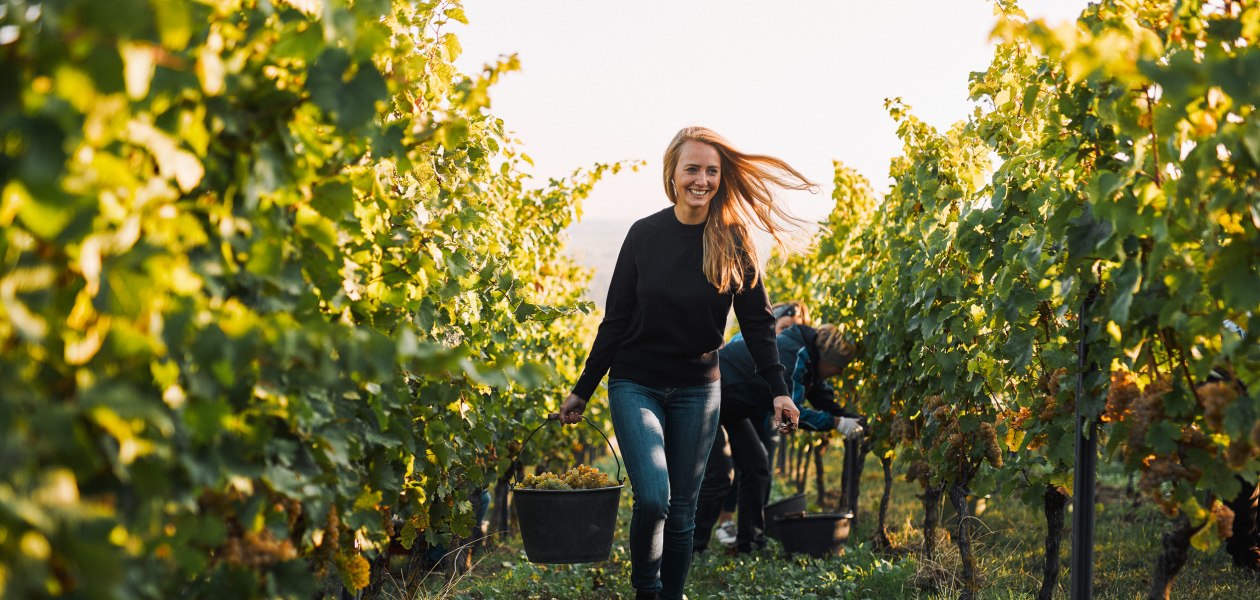 © Juwel Weine, Peter Bender © Juwel Weine, Peter Bender