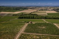 Monzernheimer Goldberg Monzernheimer Goldberg