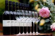 beak, © Weingut Schnabel beak, © Weingut Schnabel