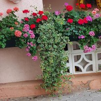 20210828_084732 20210828_084732