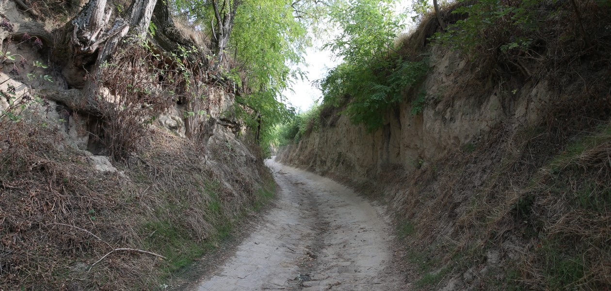 Weingut Fischborn Bergeshof_Weg, © Weingut Fischborn Bergeshof Weingut Fischborn Bergeshof_Weg, © Weingut Fischborn Bergeshof