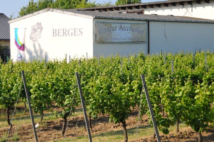 Weingut Bacchushof_Außenansicht 2, © Weingut Bacchushof Weingut Bacchushof_Außenansicht 2, © Weingut Bacchushof