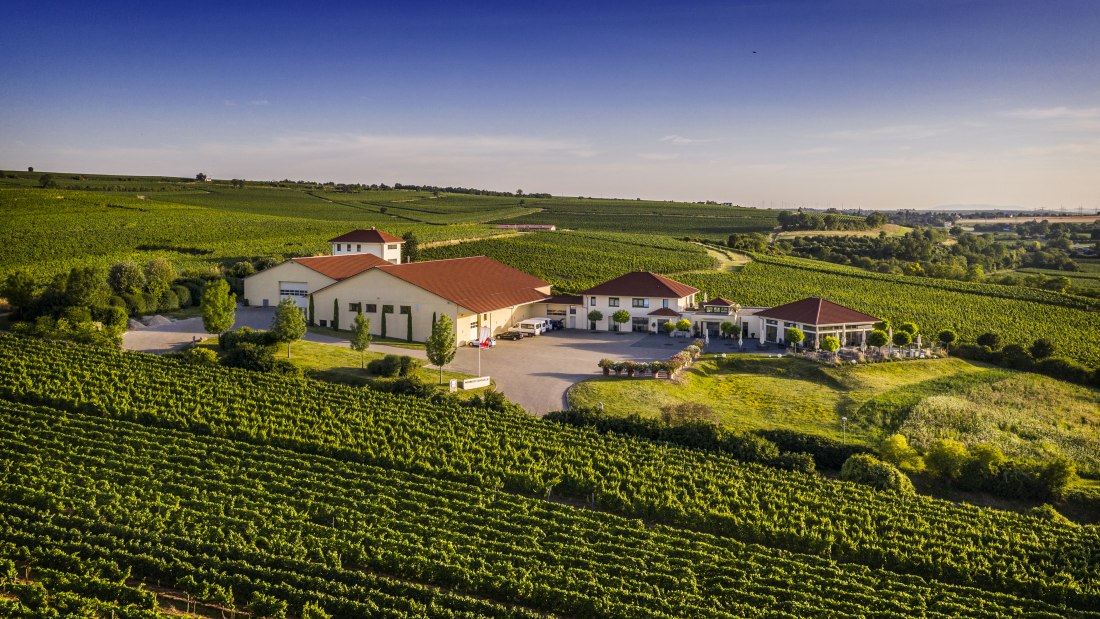 © Weingut Raddeck © Weingut Raddeck