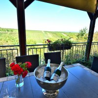 Weingut Lich Terasse 2 © Weingut Lich Weingut Lich Terasse 2 © Weingut Lich