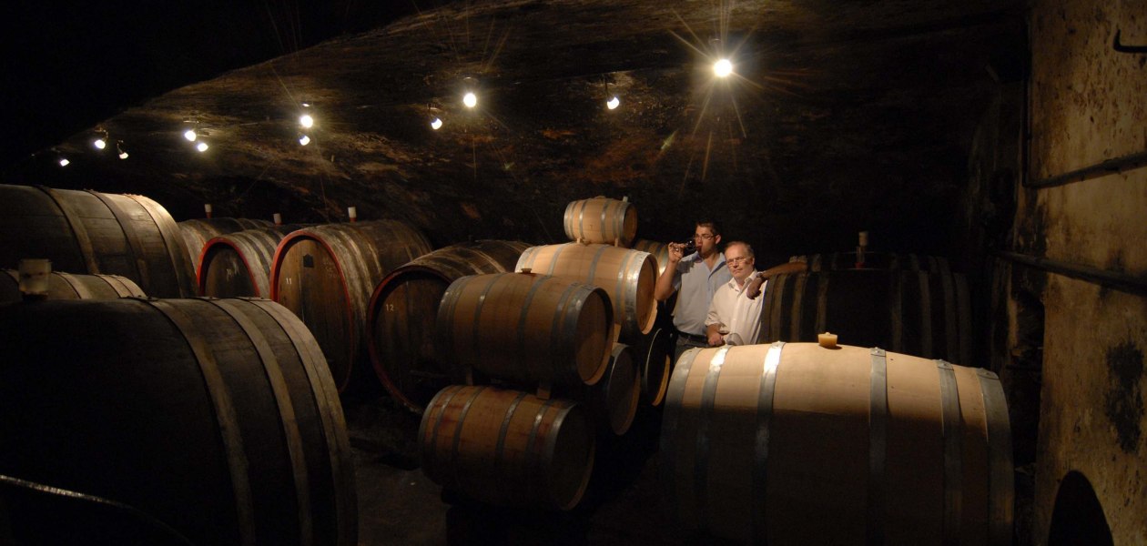 Weingut Eller_Keller 2, © Weingut Eller Weingut Eller_Keller 2, © Weingut Eller