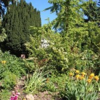 Gartenausblick Gartenausblick