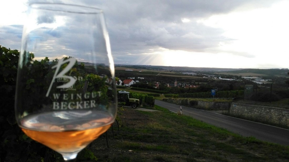 Weingut Becker_Weinglas, © Weingut Becker Weingut Becker_Weinglas, © Weingut Becker