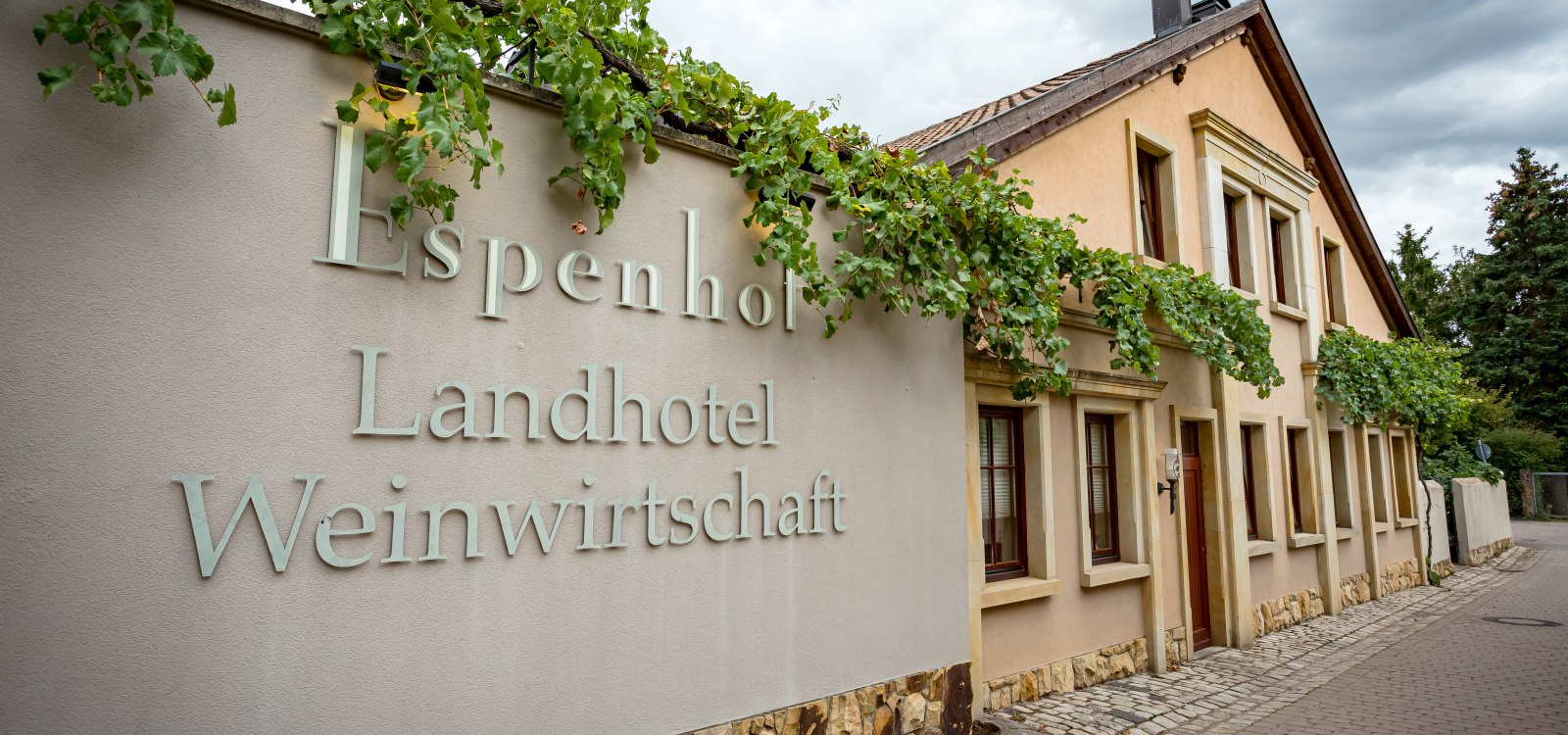 rheinhessen_geniessen_2019_0584 rheinhessen_geniessen_2019_0584