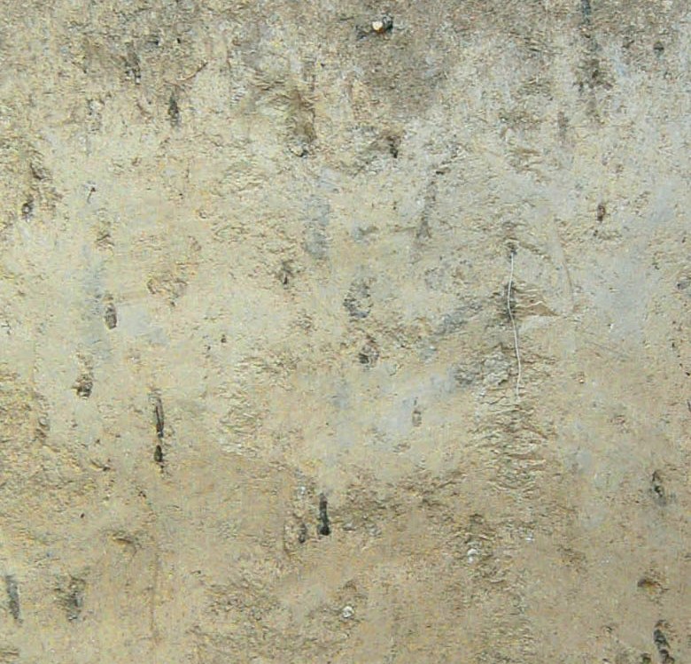 Loess Pararedzina Loess Pararedzina