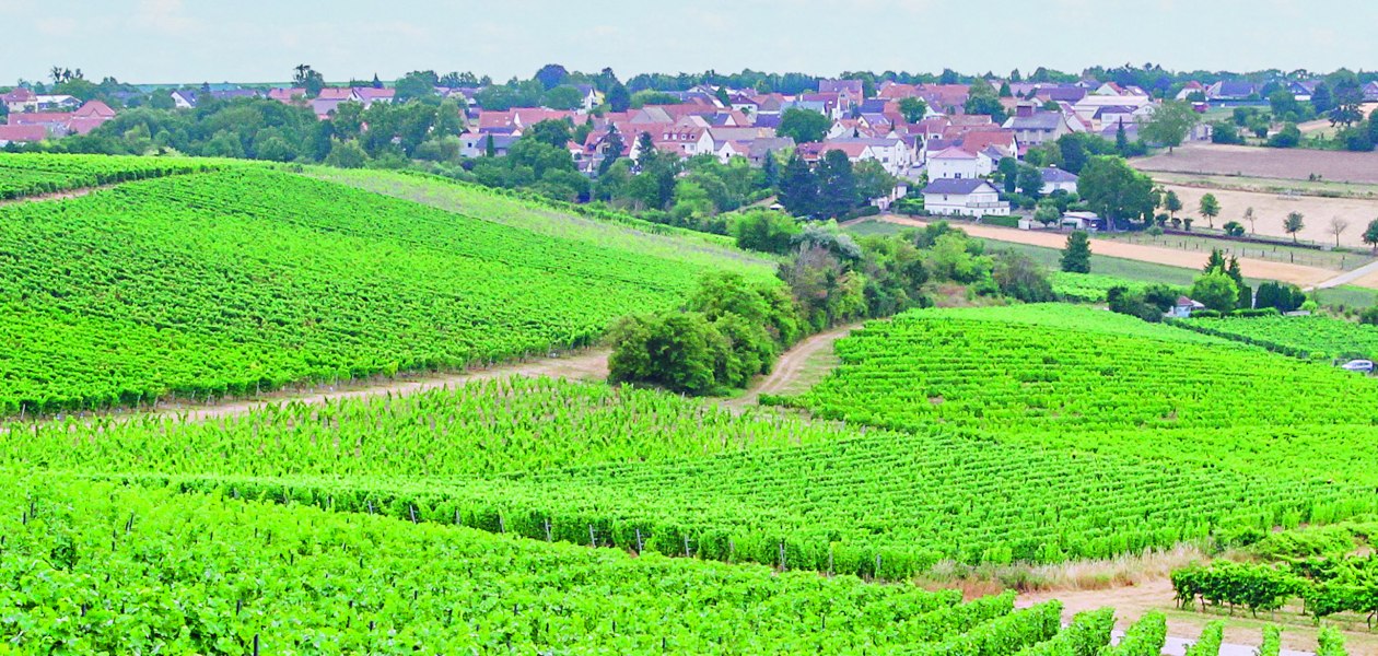 Weingut Seck_Schuetzenhuette, © Axel Seck Weingut Seck_Schuetzenhuette, © Axel Seck