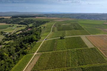 Nieder-Hilbersheimer Steinacker, © Torsten Silz Nieder-Hilbersheimer Steinacker, © Torsten Silz
