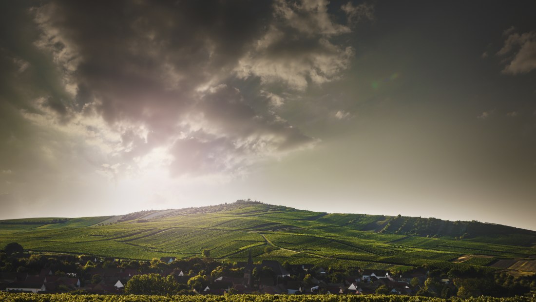 Weingut Bretz_Landschaft, © Weingut Bretz Weingut Bretz_Landschaft, © Weingut Bretz