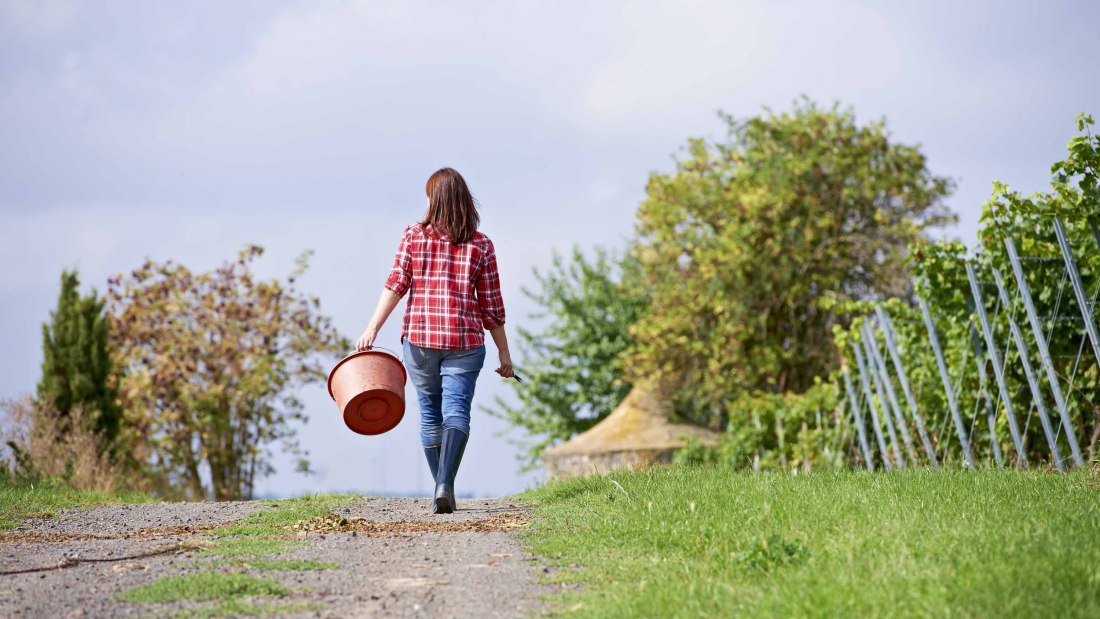 changer 3, © Weingut Wechsler changer 3, © Weingut Wechsler